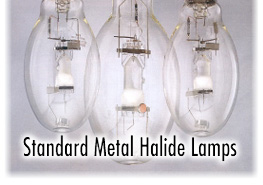 Standard lamps header.jpg (24382 bytes)